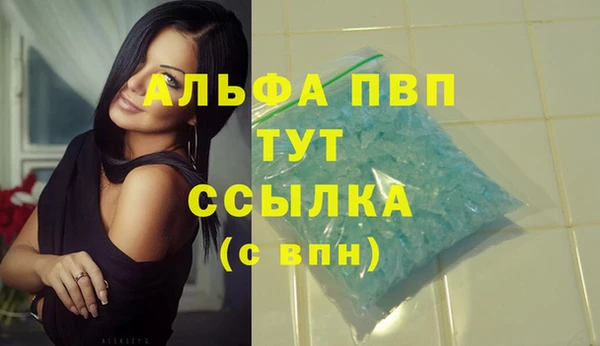 винт Аркадак