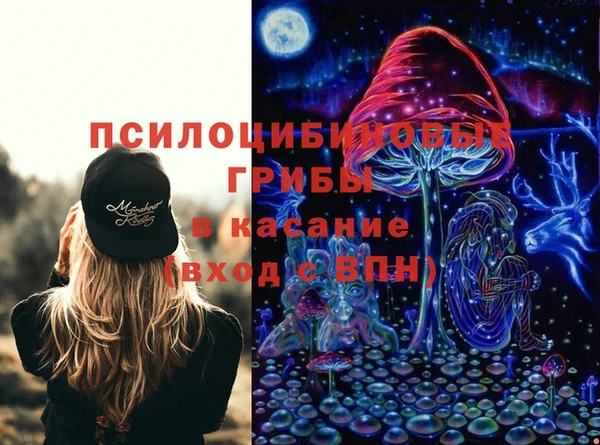 винт Аркадак